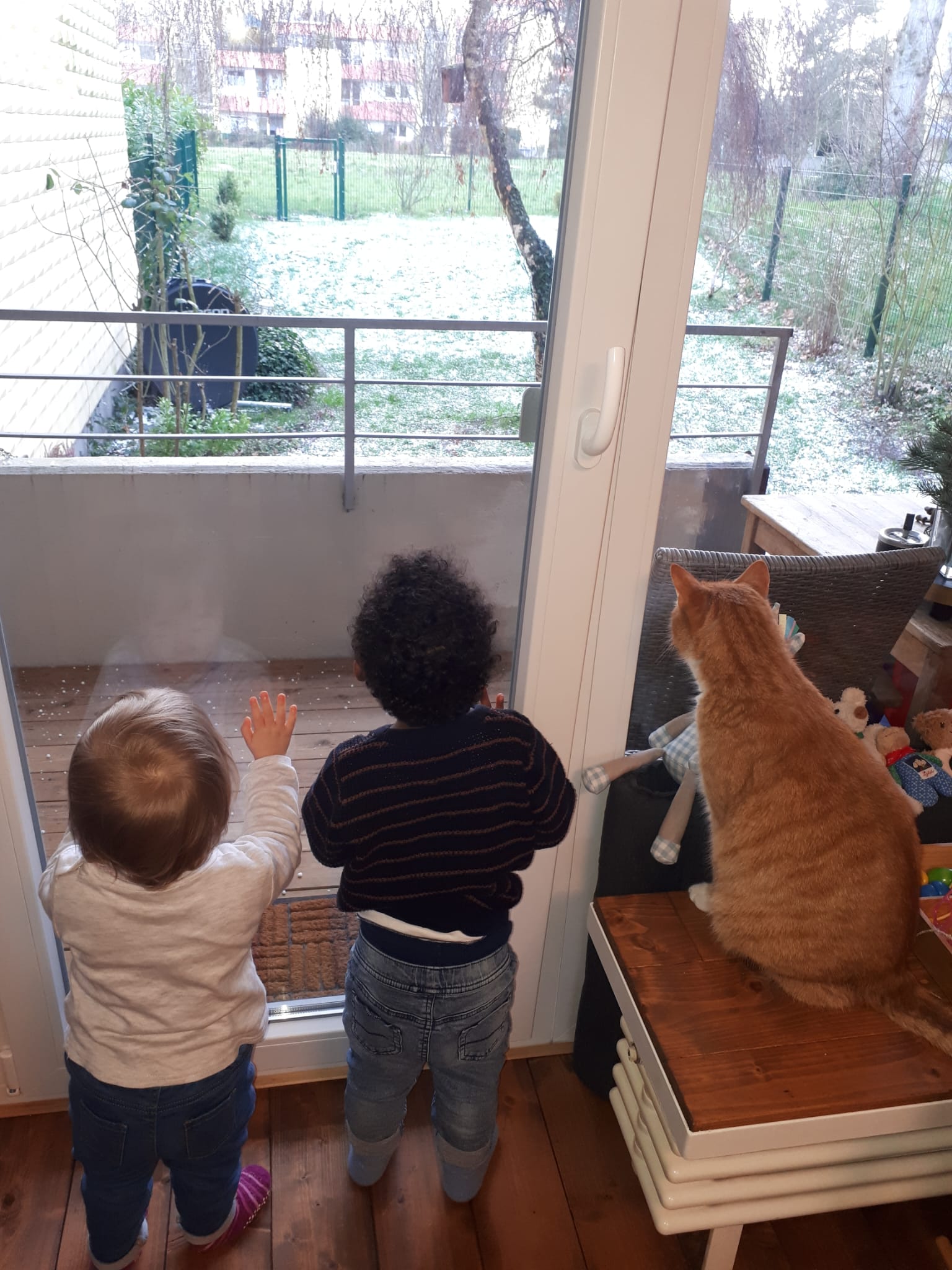 Zwei Kleinkinder und die Hauskatze beobachten gemeinsam den verschneiten Garten