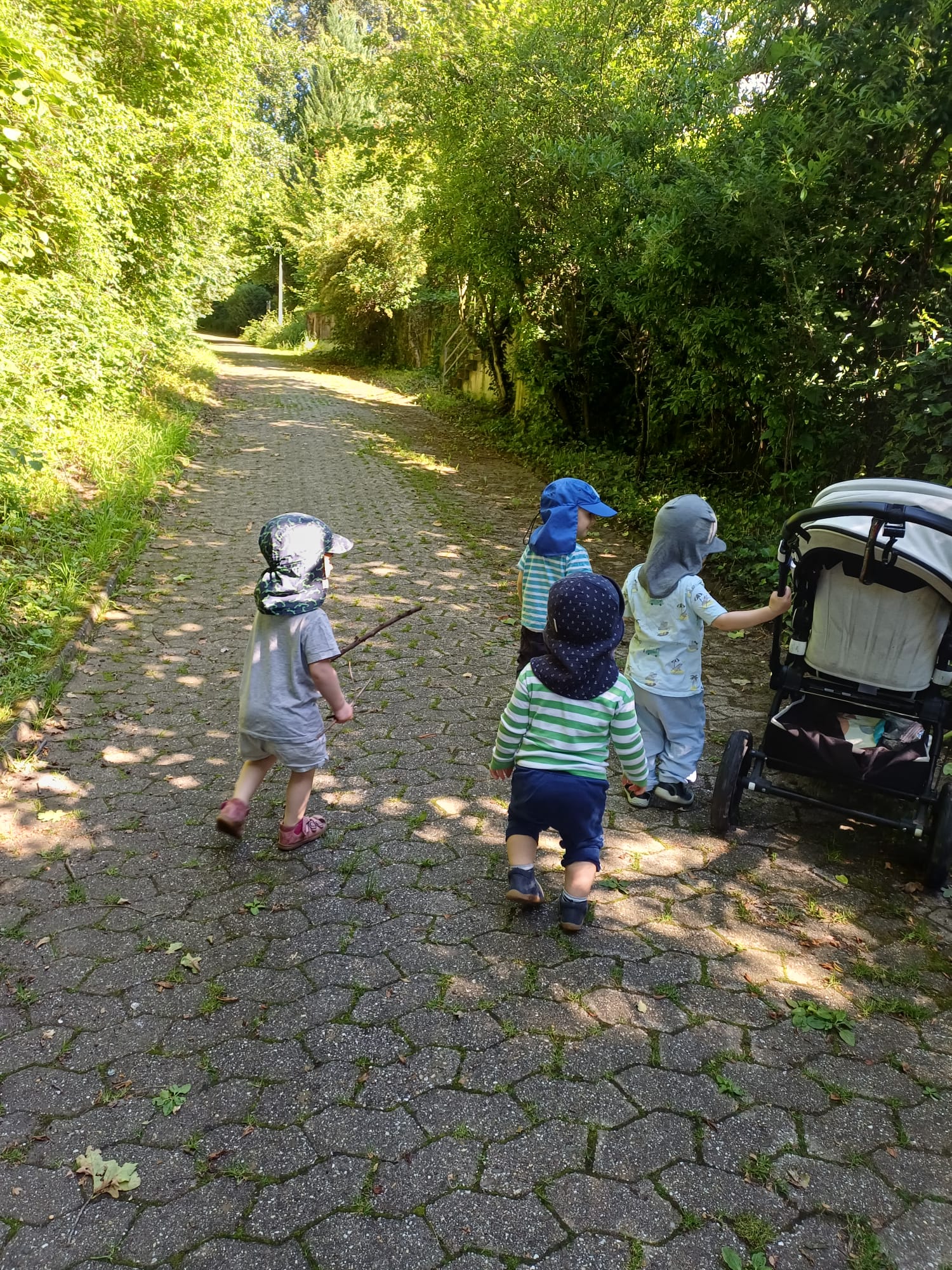Vier Kleinkinder mit Sonnenhüten spazieren neben einem Kinderwagen auf einem schattigen Waldweg auf dem Heiderhof
